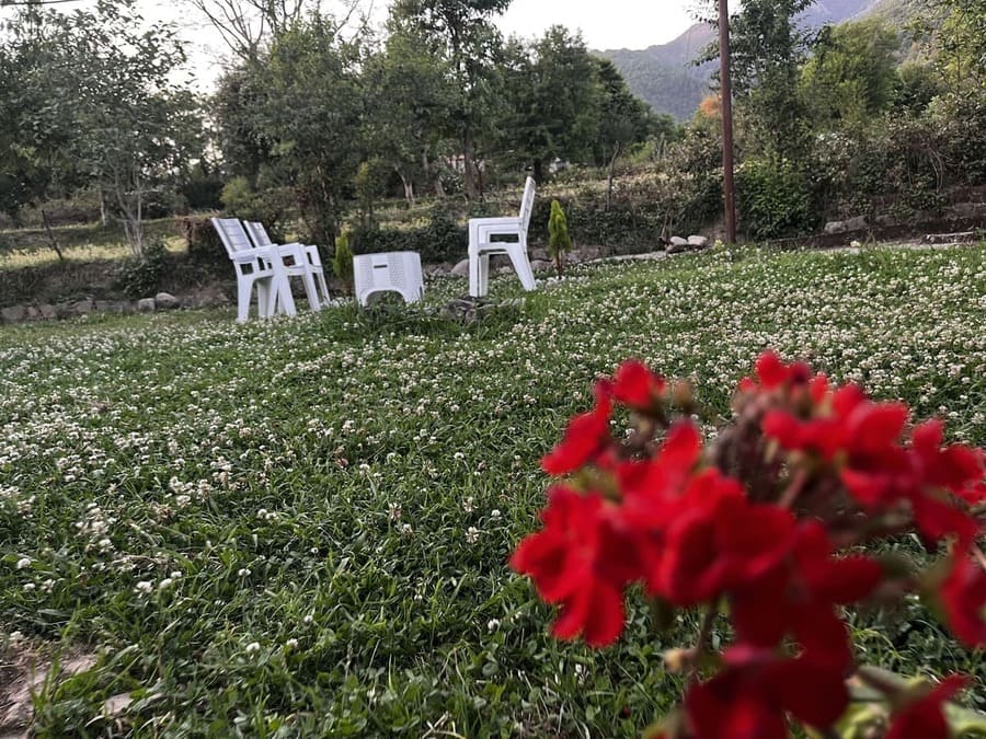 Corridor with Tree Mural